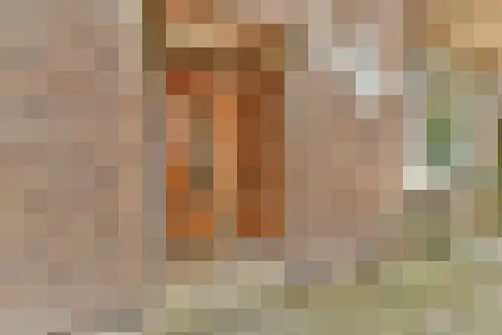 Van Tuyll van Serooskerkenweg 45 3 Amsterdam thumbnail 22