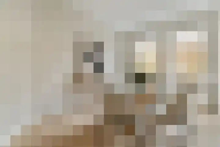 Van Tuyll van Serooskerkenweg 45 3 Amsterdam thumbnail 6