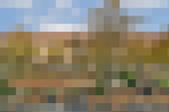 Van Tuyll van Serooskerkenweg 45 3 Amsterdam thumbnail 8