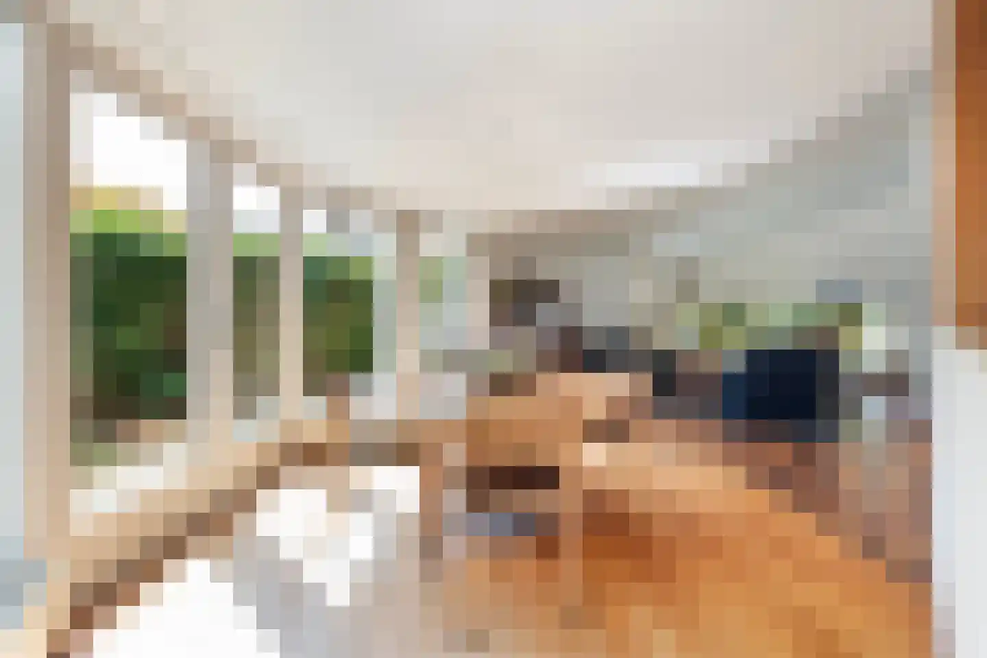 Van Tuyll van Serooskerkenweg 46 Ruurlo thumbnail 21