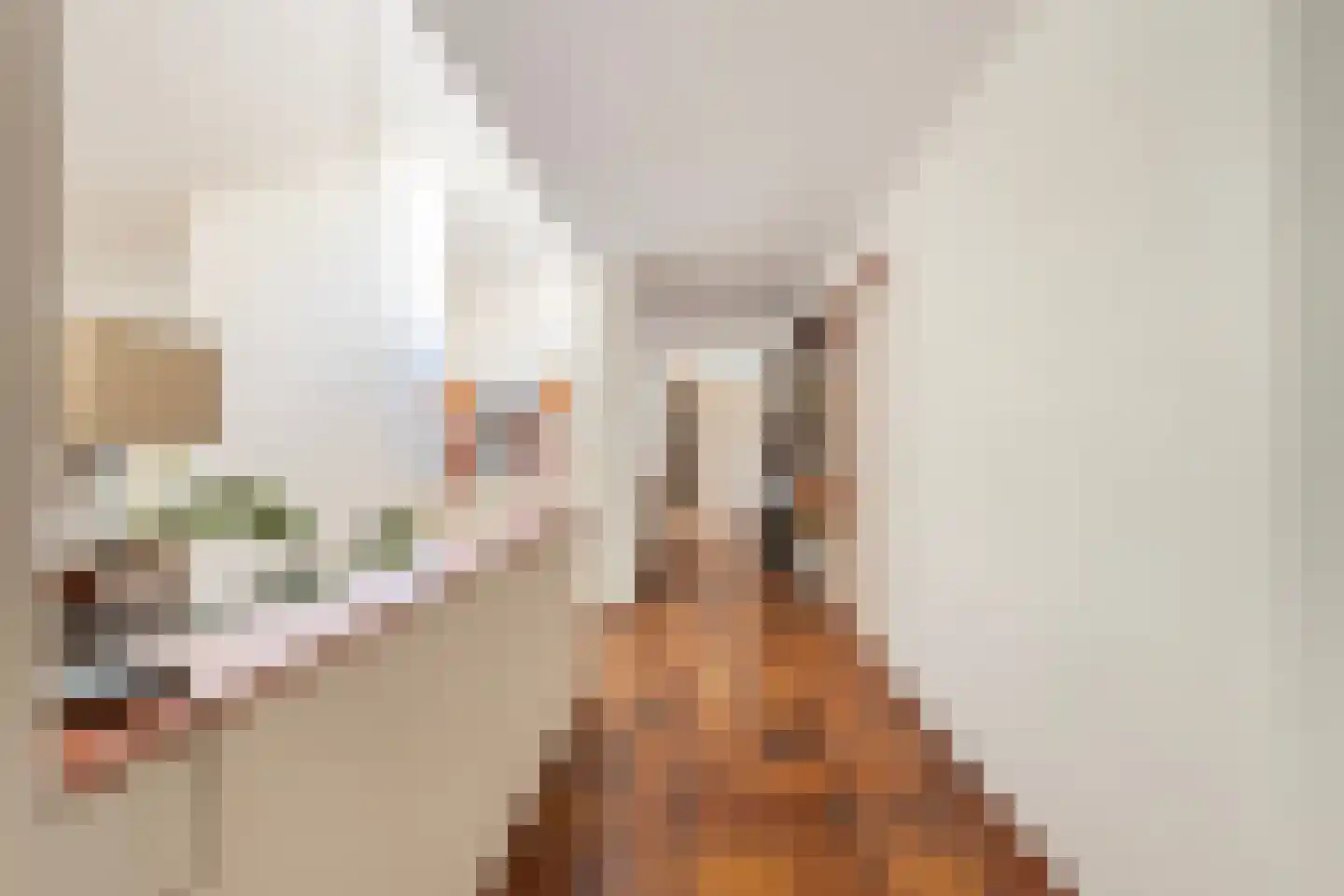 Van Tuyll van Serooskerkenweg 46 Ruurlo thumbnail 22