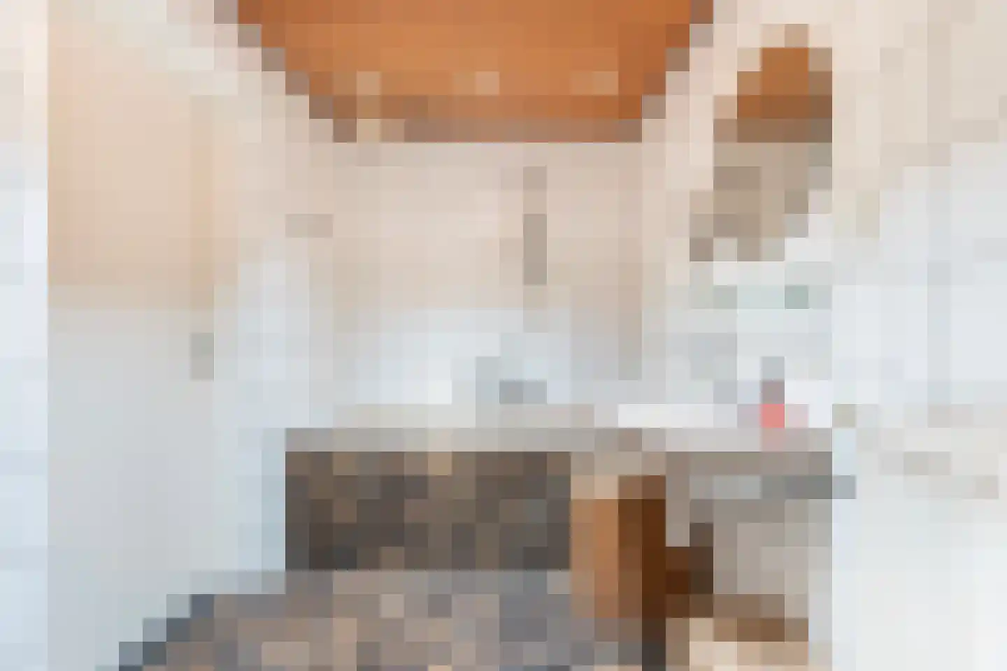 Van Tuyll van Serooskerkenweg 46 Ruurlo thumbnail 25