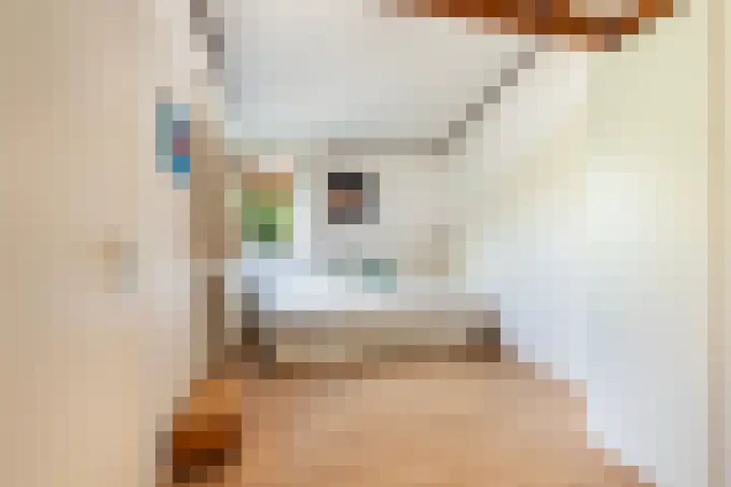 Van Tuyll van Serooskerkenweg 46 Ruurlo thumbnail 31
