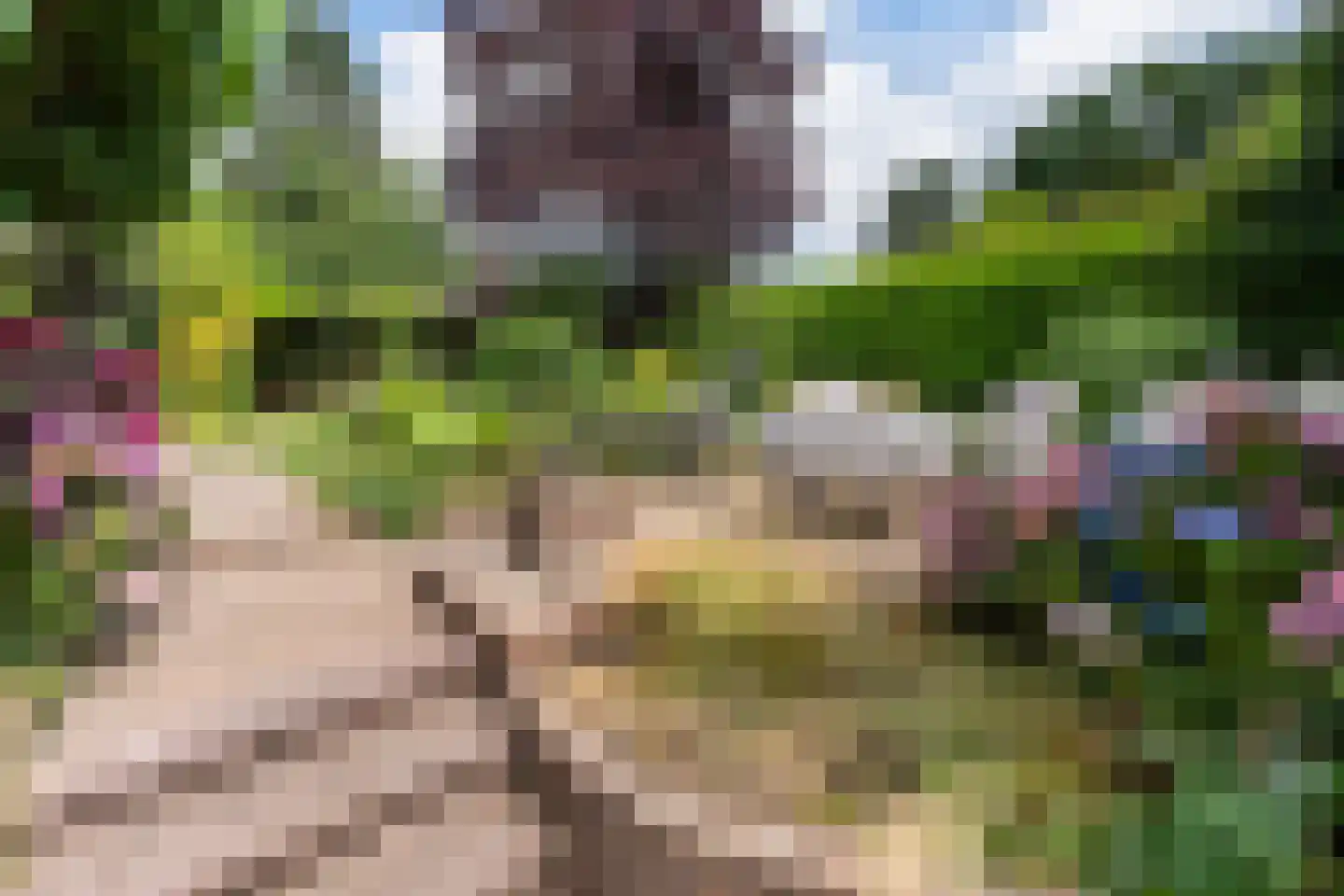 Van Tuyll van Serooskerkenweg 46 Ruurlo thumbnail 42