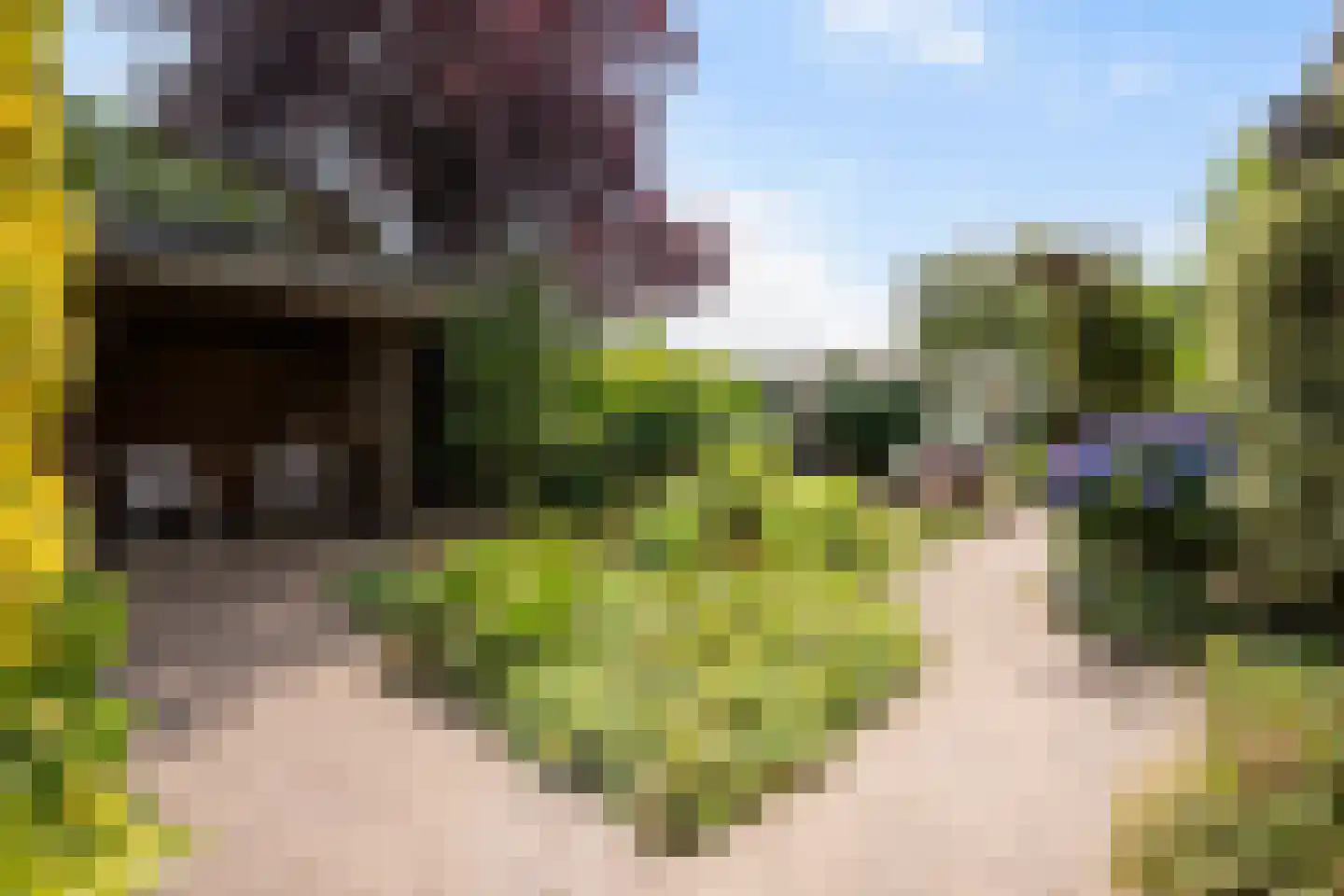 Van Tuyll van Serooskerkenweg 46 Ruurlo thumbnail 44