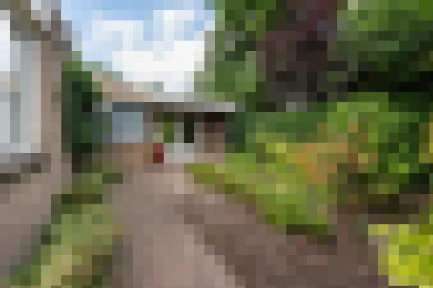 Van Tuyll van Serooskerkenweg 46 Ruurlo thumbnail 48