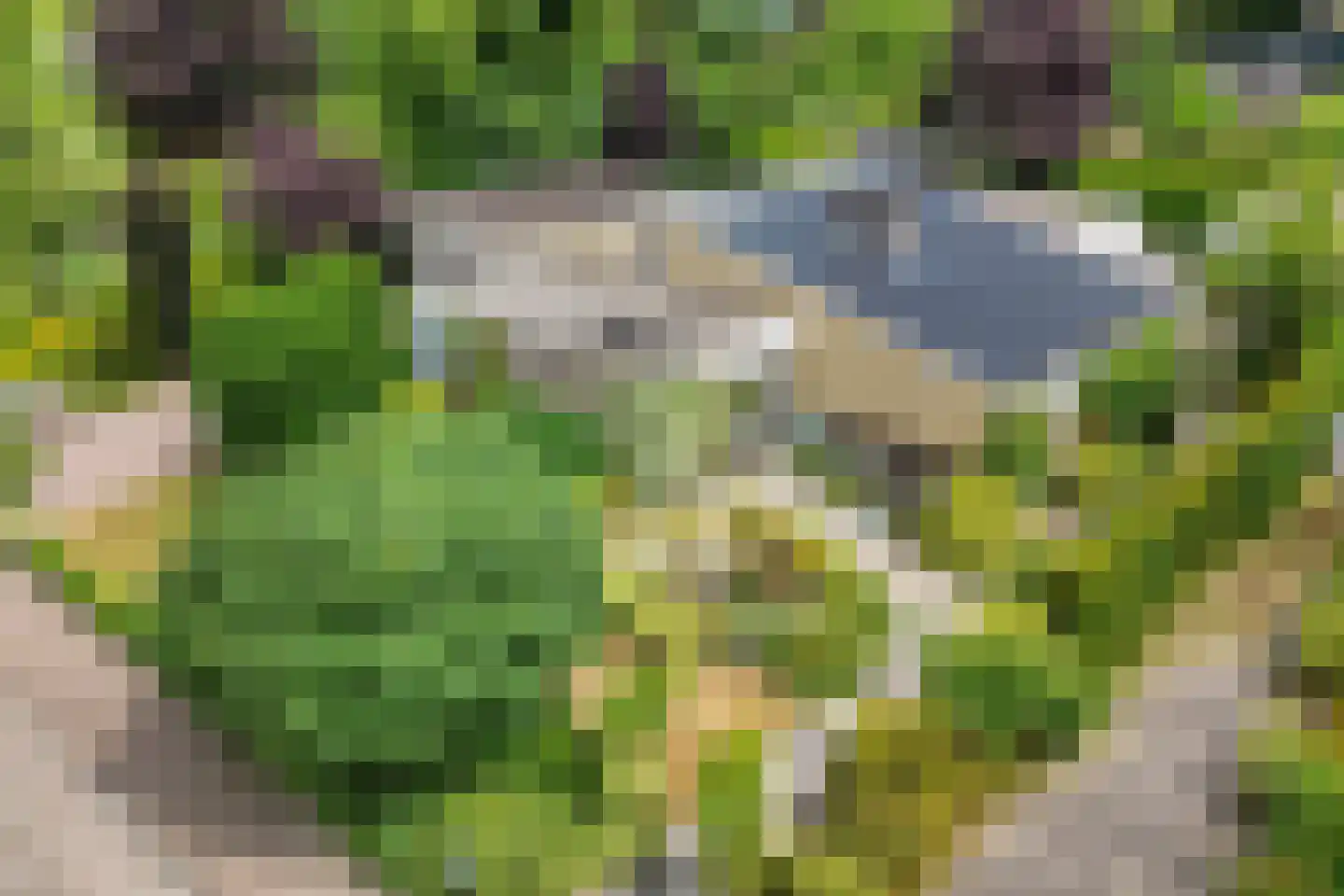 Van Tuyll van Serooskerkenweg 46 Ruurlo thumbnail 5