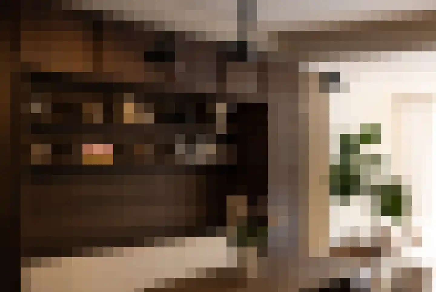 Van Tuyll van Serooskerkenweg 55 3 Amsterdam thumbnail 4