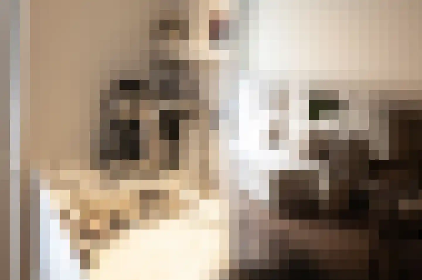 Van Tuyll van Serooskerkenweg 55 3 Amsterdam thumbnail 7