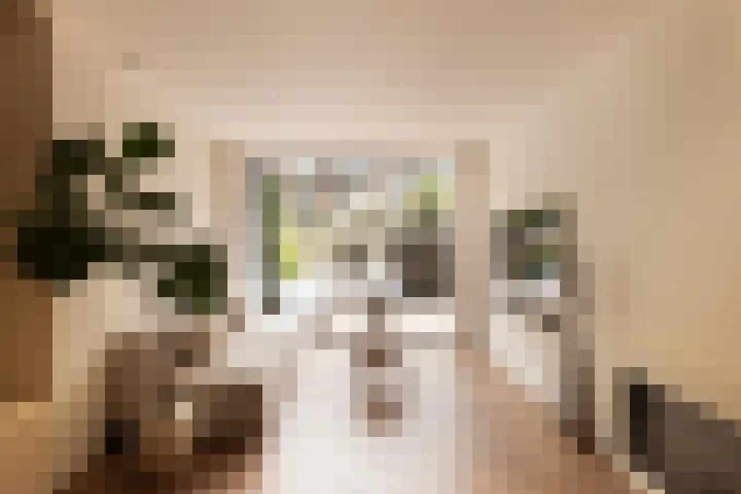 Van Tuyll van Serooskerkenweg 55 H Amsterdam thumbnail 28