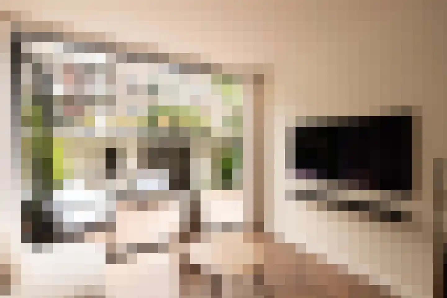 Van Tuyll van Serooskerkenweg 55 H Amsterdam thumbnail 30