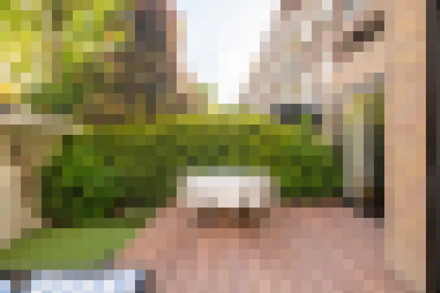 Van Tuyll van Serooskerkenweg 55 H Amsterdam thumbnail 32