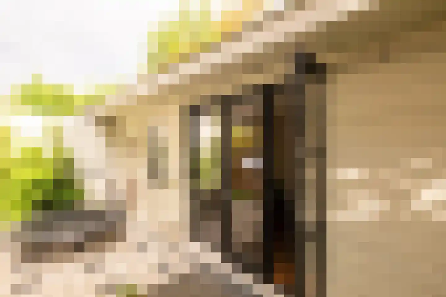 Van Tuyll van Serooskerkenweg 55 H Amsterdam thumbnail 33