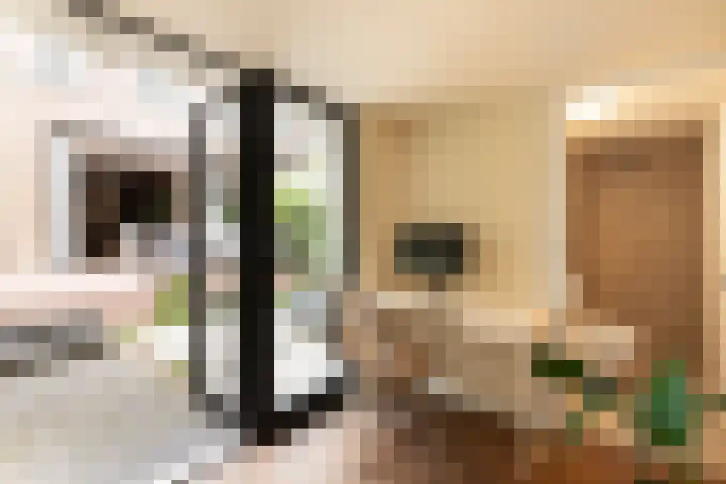 Van Tuyll van Serooskerkenweg 55 H Amsterdam thumbnail 34