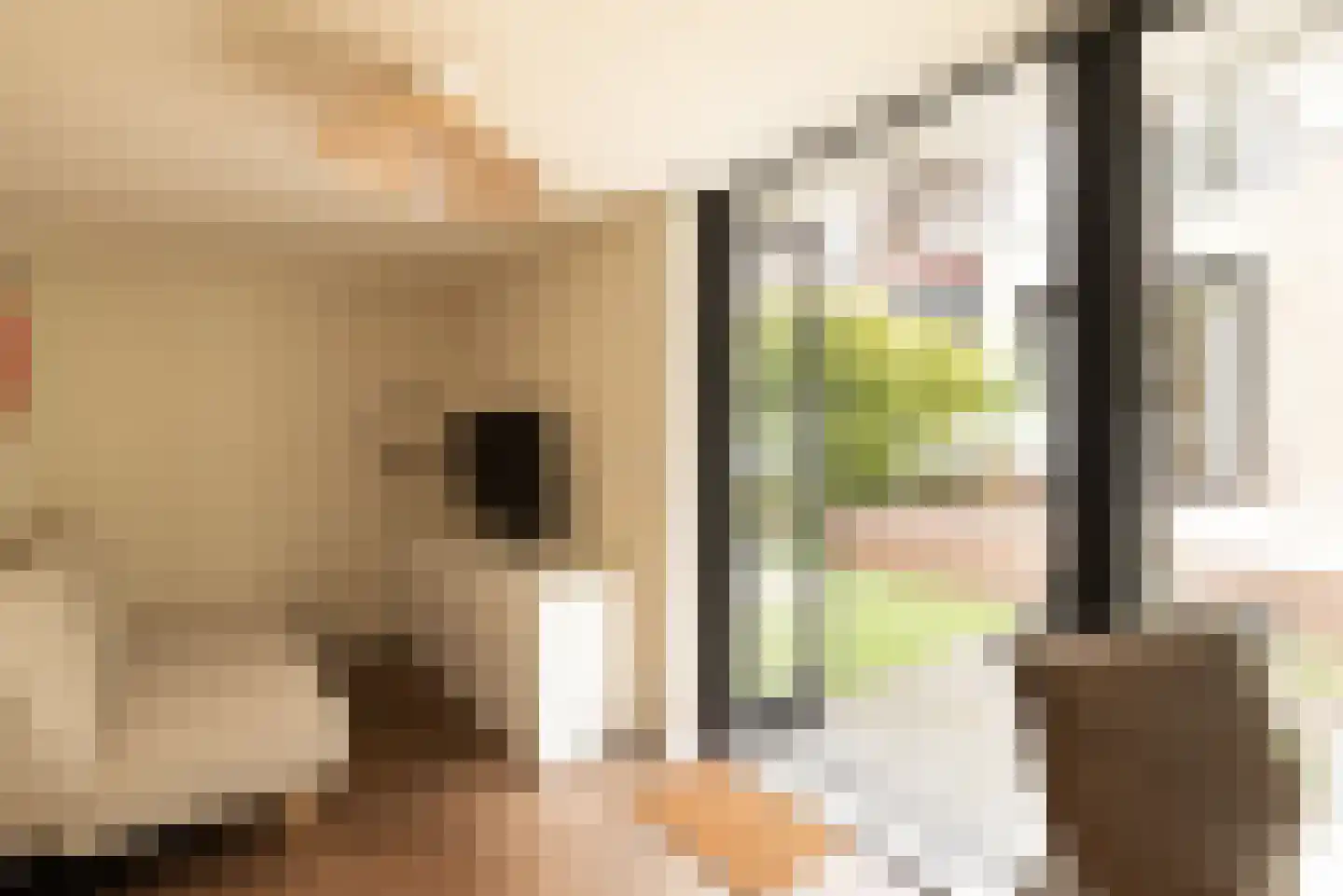 Van Tuyll van Serooskerkenweg 55 H Amsterdam thumbnail 35