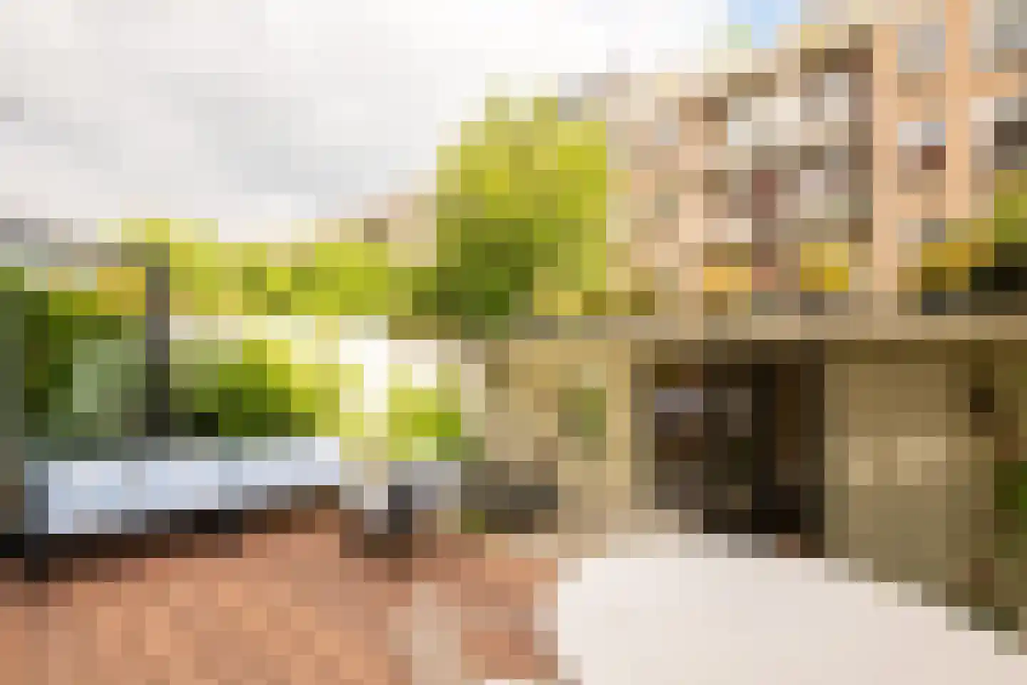 Van Tuyll van Serooskerkenweg 55 H Amsterdam thumbnail 36