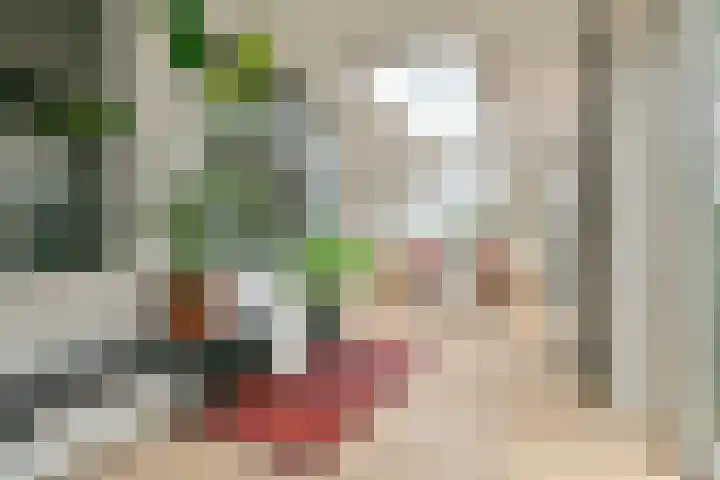 Van Tuyll van Serooskerkenweg 59 H Amsterdam thumbnail 10