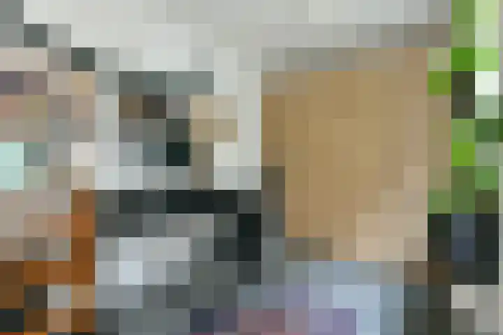 Van Tuyll van Serooskerkenweg 59 H Amsterdam thumbnail 13