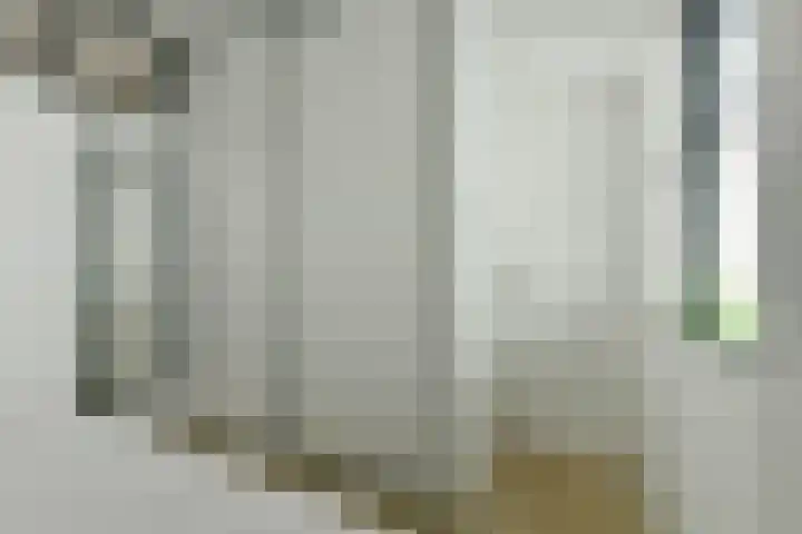 Van Tuyll van Serooskerkenweg 59 H Amsterdam thumbnail 19