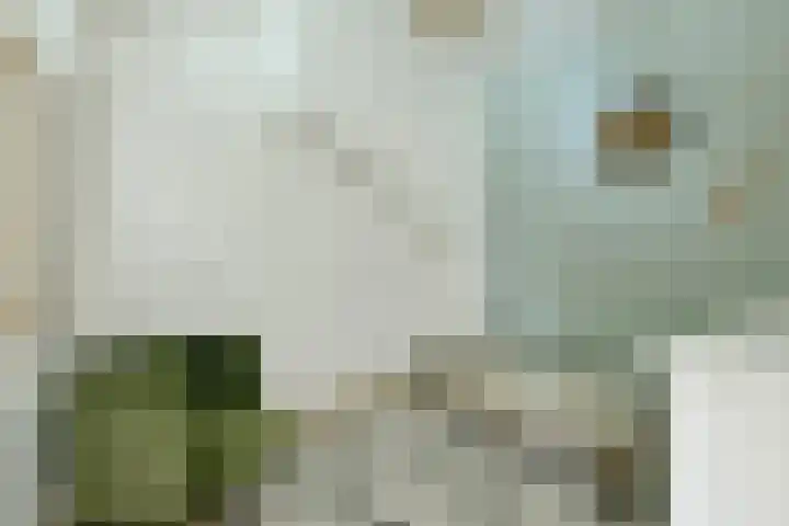 Van Tuyll van Serooskerkenweg 59 H Amsterdam thumbnail 20