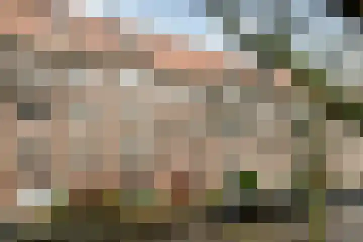 Van Tuyll van Serooskerkenweg 59 H Amsterdam thumbnail 21