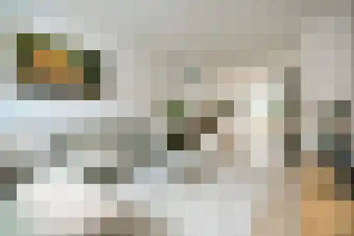 Van Tuyll van Serooskerkenweg 59 H Amsterdam thumbnail 6