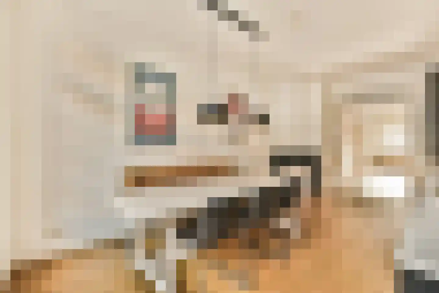 Van Tuyll van Serooskerkenweg 62 1 Amsterdam thumbnail 10