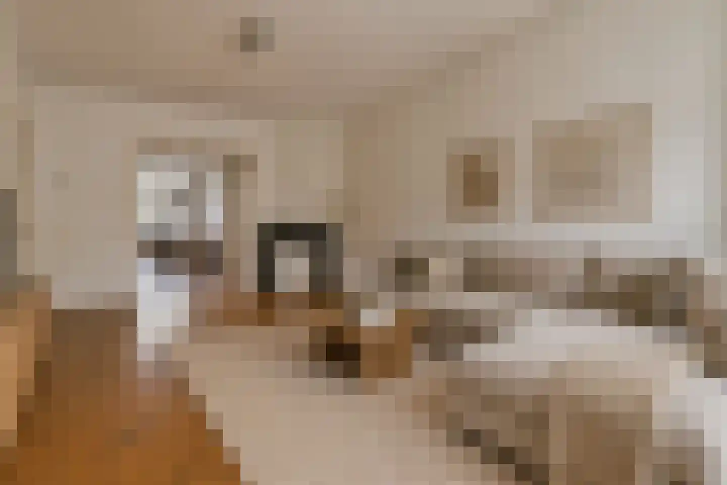 Van Tuyll van Serooskerkenweg 62 1 Amsterdam thumbnail 6