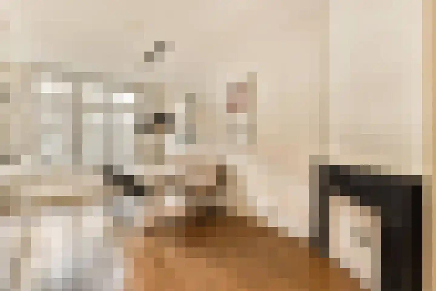 Van Tuyll van Serooskerkenweg 62 1 Amsterdam thumbnail 7