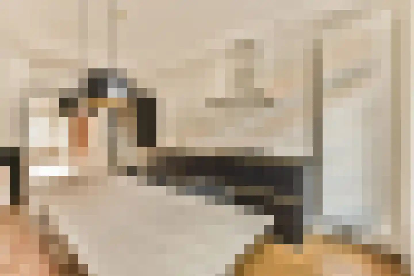 Van Tuyll van Serooskerkenweg 62 1 Amsterdam thumbnail 9