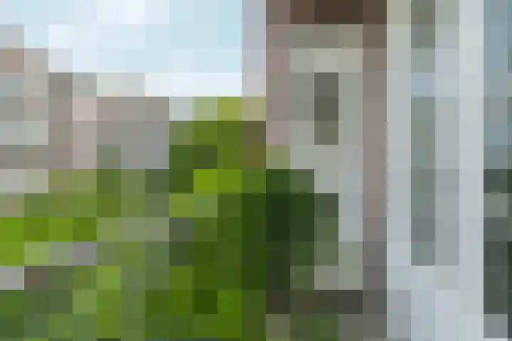 Van Tuyll van Serooskerkenweg 69 H Amsterdam thumbnail 11