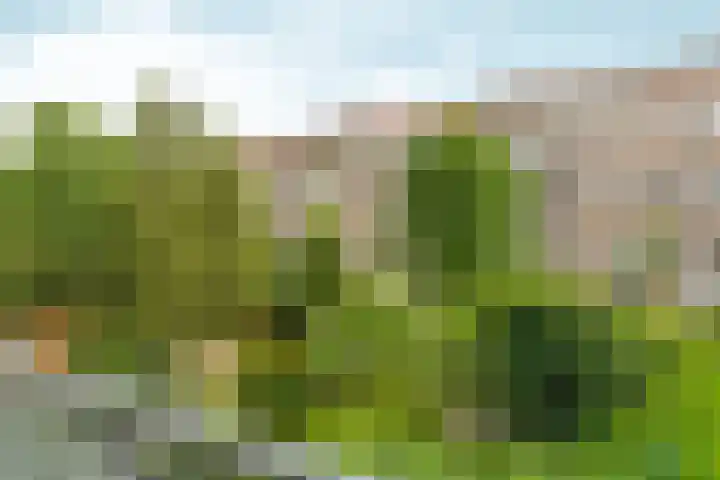 Van Tuyll van Serooskerkenweg 69 H Amsterdam thumbnail 12