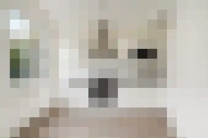 Van Tuyll van Serooskerkenweg 69 H Amsterdam thumbnail 14