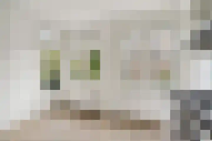 Van Tuyll van Serooskerkenweg 69 H Amsterdam thumbnail 19
