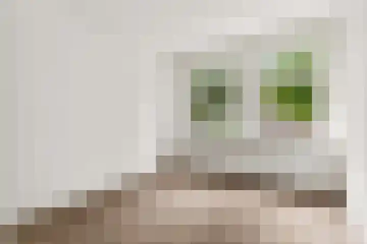 Van Tuyll van Serooskerkenweg 69 H Amsterdam thumbnail 21