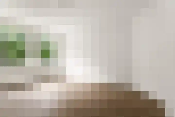 Van Tuyll van Serooskerkenweg 69 H Amsterdam thumbnail 23