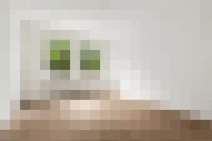 Van Tuyll van Serooskerkenweg 69 H Amsterdam thumbnail 24
