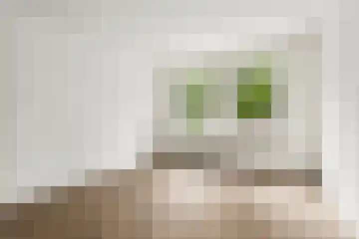 Van Tuyll van Serooskerkenweg 69 H Amsterdam thumbnail 28