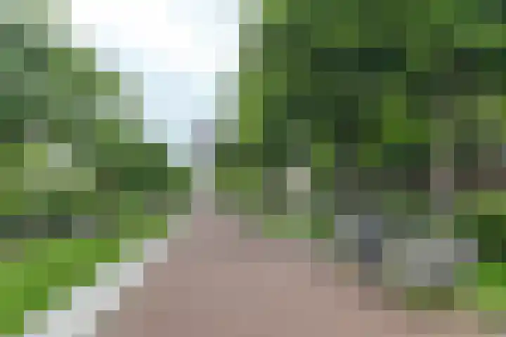 Van Tuyll van Serooskerkenweg 69 H Amsterdam thumbnail 31