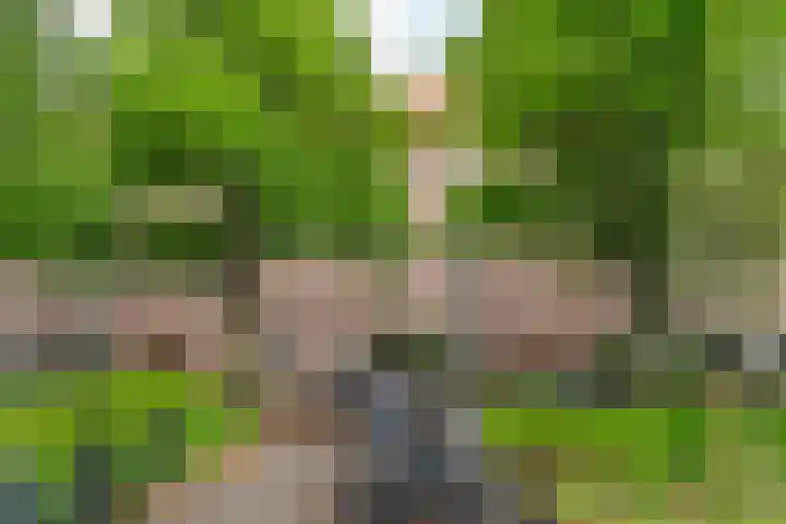Van Tuyll van Serooskerkenweg 69 H Amsterdam thumbnail 33