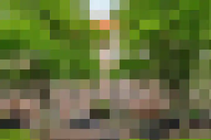 Van Tuyll van Serooskerkenweg 69 H Amsterdam thumbnail 34