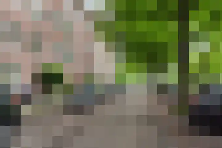 Van Tuyll van Serooskerkenweg 69 H Amsterdam thumbnail 35