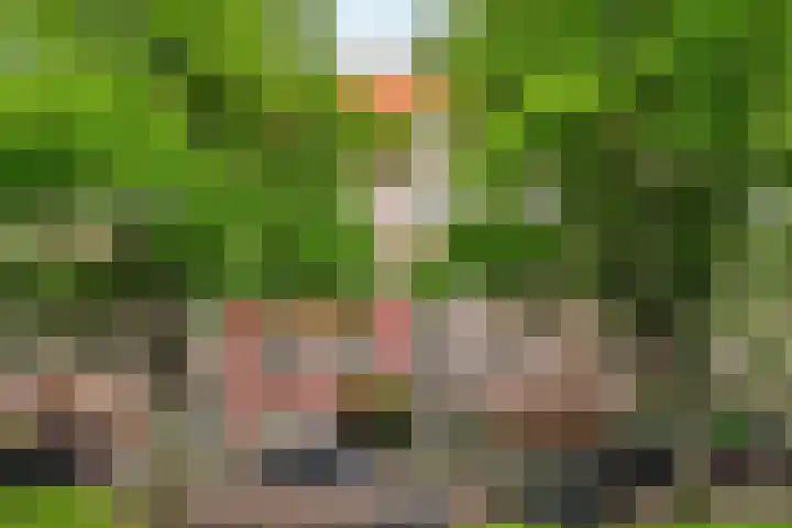 Van Tuyll van Serooskerkenweg 69 H Amsterdam thumbnail 39
