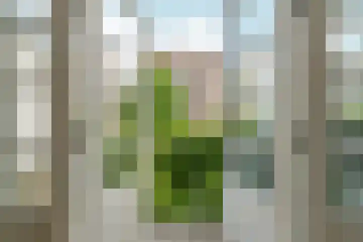 Van Tuyll van Serooskerkenweg 69 H Amsterdam thumbnail 9