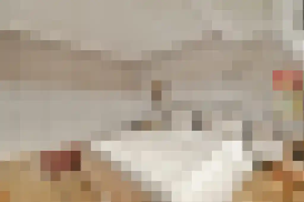 Van Tuyll van Serooskerkenweg 72 1 Amsterdam thumbnail 18