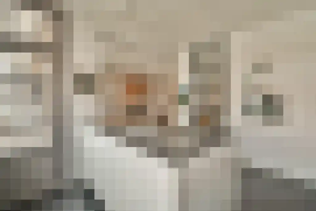 Van Tuyll van Serooskerkenweg 72 2 Amsterdam thumbnail 15