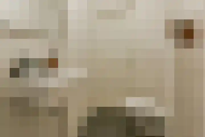 Van Tuyll van Serooskerkenweg 75 1 Amsterdam thumbnail 18