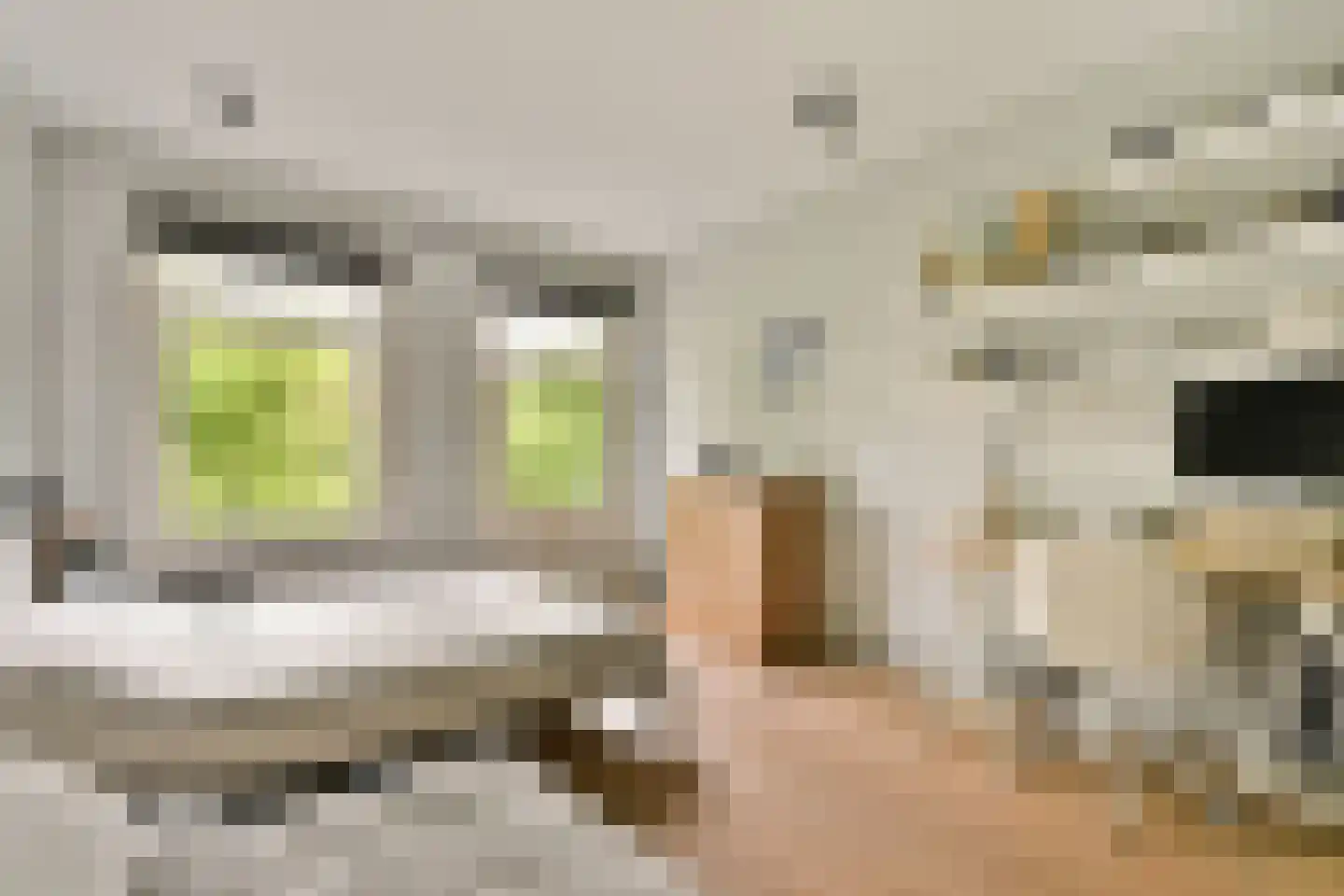 Van Tuyll van Serooskerkenweg 78 2 Amsterdam thumbnail 9
