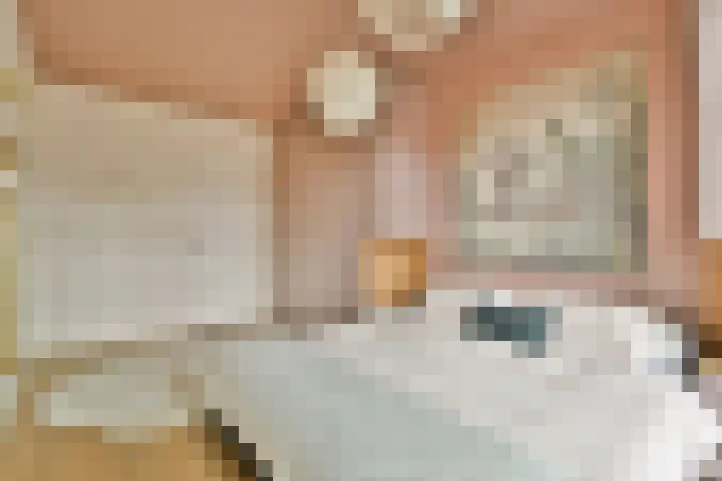 Van Tuyll van Serooskerkenweg 78 3 Amsterdam thumbnail 6