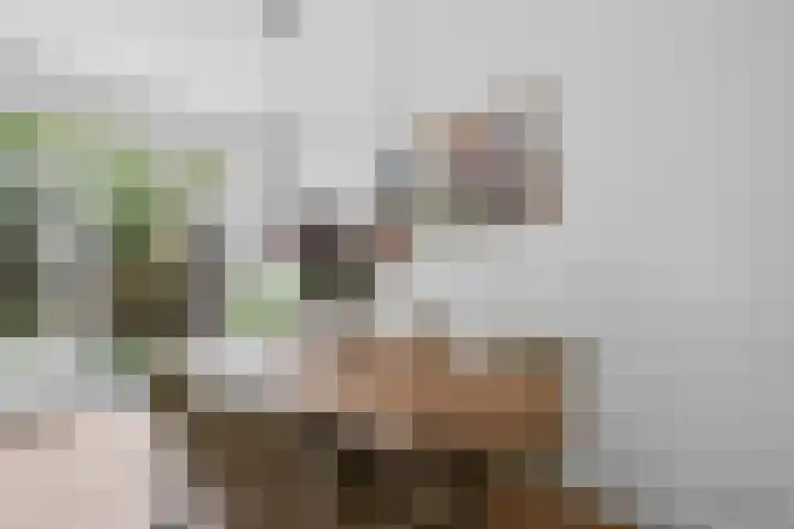 Van Tuyll van Serooskerkenweg 86 Amsterdam thumbnail 15